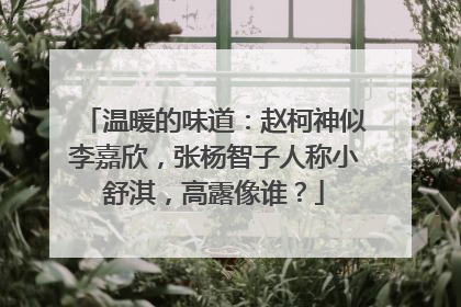 温暖的味道：赵柯神似李嘉欣，张杨智子人称小舒淇，高露像谁？