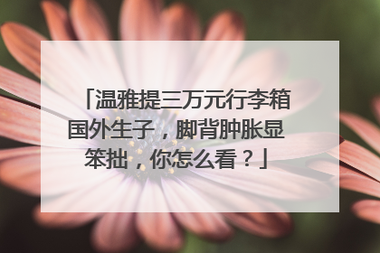 温雅提三万元行李箱国外生子,脚背肿胀显笨拙,你怎么看?