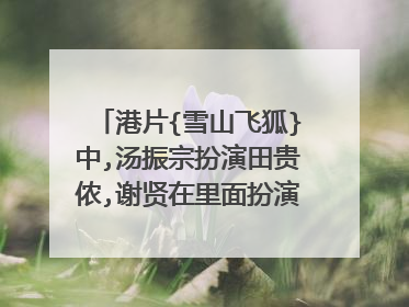 港片{雪山飞狐}中,汤振宗扮演田贵侬,谢贤在里面扮演什么角色?