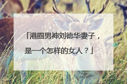 港圈男神刘德华妻子,是一个怎样的女人?