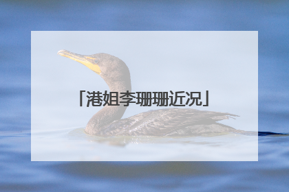 港姐李珊珊近况