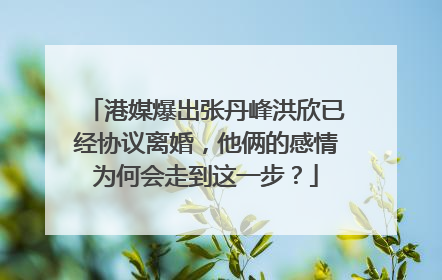 港媒爆出张丹峰洪欣已经协议离婚，他俩的感情为何会走到这一步？