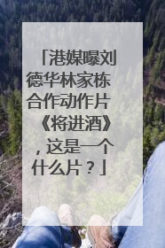 港媒曝刘德华林家栋合作动作片《将进酒》，这是一个什么片？