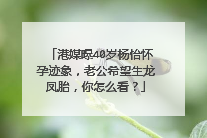 港媒曝40岁杨怡怀孕迹象，老公希望生龙凤胎，你怎么看？
