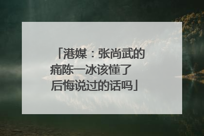 港媒：张尚武的痛陈一冰该懂了 后悔说过的话吗