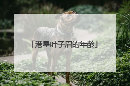 港星叶子眉的年龄