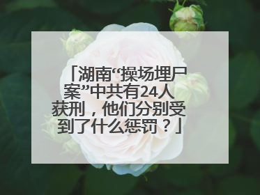 湖南“操场埋尸案”中共有24人获刑，他们分别受到了什么惩罚？