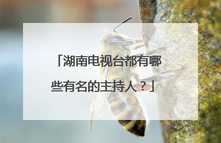 湖南电视台都有哪些有名的主持人？