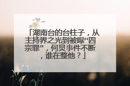 湖南台的台柱子,从主持界之光到被曝“四宗罪”,何炅事件不断,谁在整他?