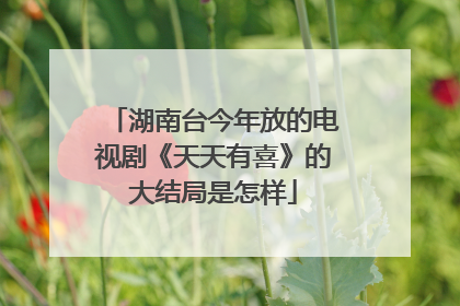 湖南台今年放的电视剧《天天有喜》的大结局是怎样