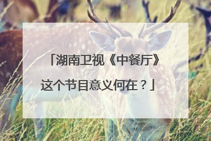 湖南卫视《中餐厅》这个节目意义何在？