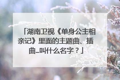 湖南卫视《单身公主相亲记》里面的主题曲、插曲…叫什么名字？