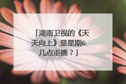湖南卫视的《天天向上》是星期6几点重播？
