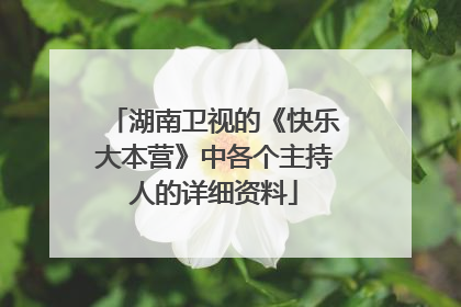 湖南卫视的《快乐大本营》中各个主持人的详细资料