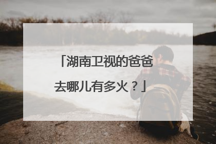 湖南卫视的爸爸去哪儿有多火?