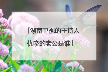 湖南卫视的主持人仇哓的老公是谁