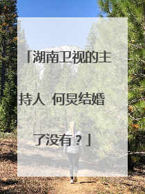 湖南卫视的主持人 何炅结婚了没有？