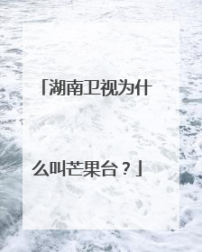 湖南卫视为什么叫芒果台?