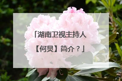 湖南卫视主持人【何炅】简介？