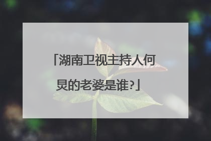 湖南卫视主持人何炅的老婆是谁?