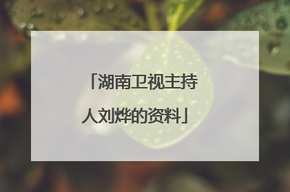 湖南卫视主持人刘烨的资料