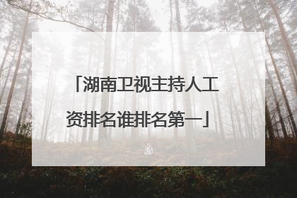 湖南卫视主持人工资排名谁排名第一