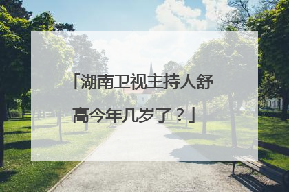 湖南卫视主持人舒高今年几岁了?