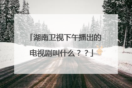 湖南卫视下午播出的电视剧叫什么??