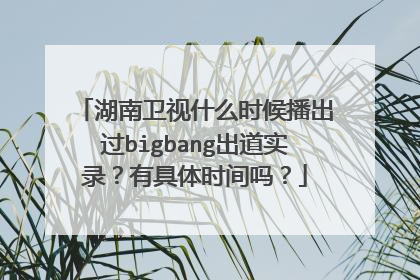 湖南卫视什么时候播出过bigbang出道实录？有具体时间吗？