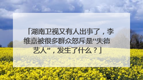 湖南卫视又有人出事了，李维嘉被很多群众怒斥是“失德艺人”，发生了什么？