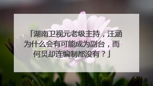 湖南卫视元老级主持，汪涵为什么会有可能成为副台，而何炅却连编制都没有？