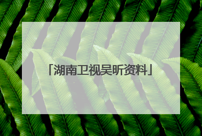 湖南卫视吴昕资料