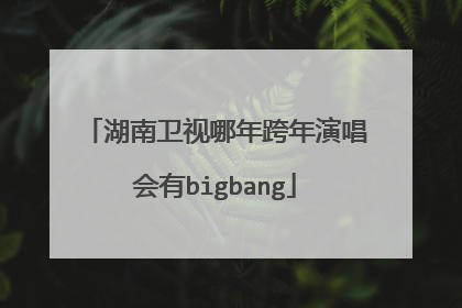 湖南卫视哪年跨年演唱会有bigbang