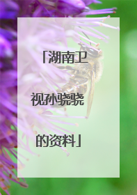 湖南卫视孙骁骁的资料