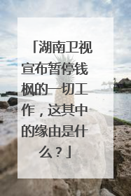 湖南卫视宣布暂停钱枫的一切工作，这其中的缘由是什么？