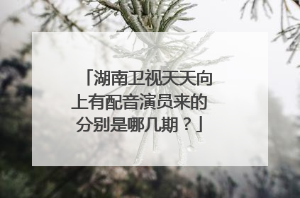 湖南卫视天天向上有配音演员来的分别是哪几期？