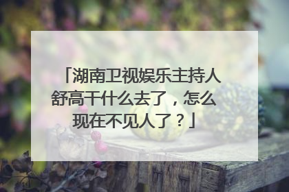 湖南卫视娱乐主持人舒高干什么去了,怎么现在不见人了?
