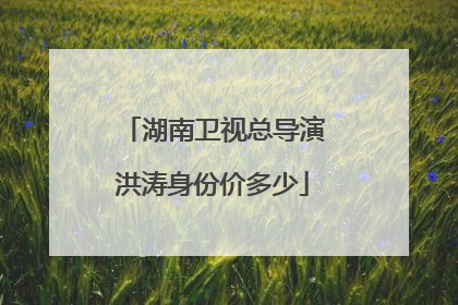 湖南卫视总导演洪涛身份价多少
