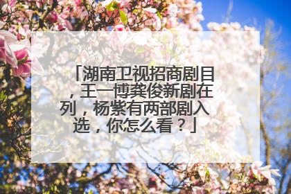 湖南卫视招商剧目，王一博龚俊新剧在列，杨紫有两部剧入选，你怎么看？