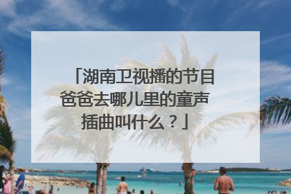 湖南卫视播的节目爸爸去哪儿里的童声插曲叫什么?
