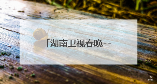 湖南卫视春晚--至上励合 五个人 分别哪个是谁？