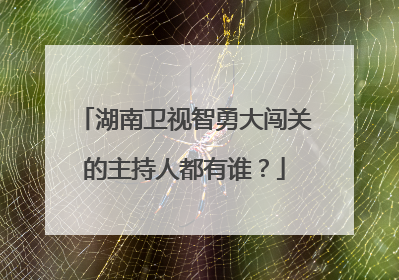 湖南卫视智勇大闯关的主持人都有谁？