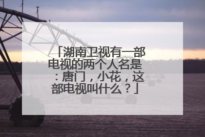 湖南卫视有一部电视的两个人名是:唐门,小花,这部电视叫什么?