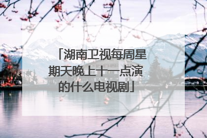 湖南卫视每周星期天晚上十一点演的什么电视剧