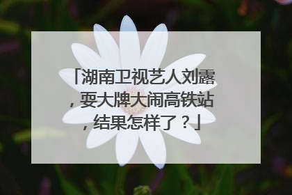 湖南卫视艺人刘露,耍大牌大闹高铁站,结果怎样了?