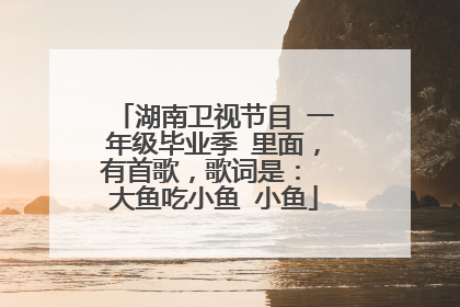 湖南卫视节目 一年级毕业季 里面,有首歌,歌词是: 大鱼吃小鱼 小鱼
