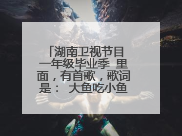 湖南卫视节目 一年级毕业季 里面，有首歌，歌词是： 大鱼吃小鱼 小鱼