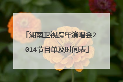 湖南卫视跨年演唱会2014节目单及时间表
