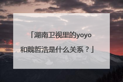 湖南卫视里的yoyo和魏哲浩是什么关系？