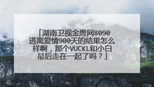 湖南卫视金鹰网8090 逃离爱情900天的结果怎么样啊，那个VUCKL和小白最后走在一起了吗？